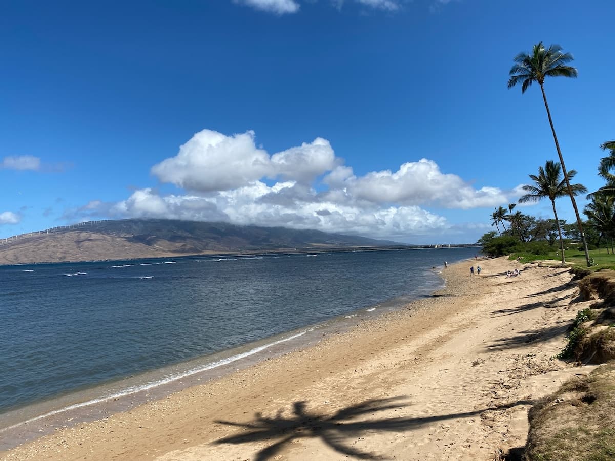 Condo in Kihei · ★4.94 · 1 bedroom · 3 beds · 2 private baths - Photo 1