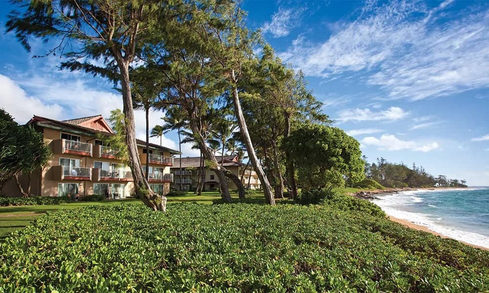 Condo in Kapaa · ★4.91 · 1 bedroom · 2 beds · 1 shared bath - Photo 3