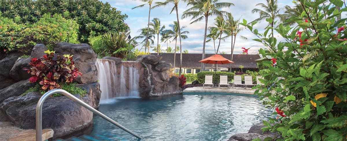 Condo in Kapaa · ★4.91 · 1 bedroom · 2 beds · 1 shared bath - Photo 1
