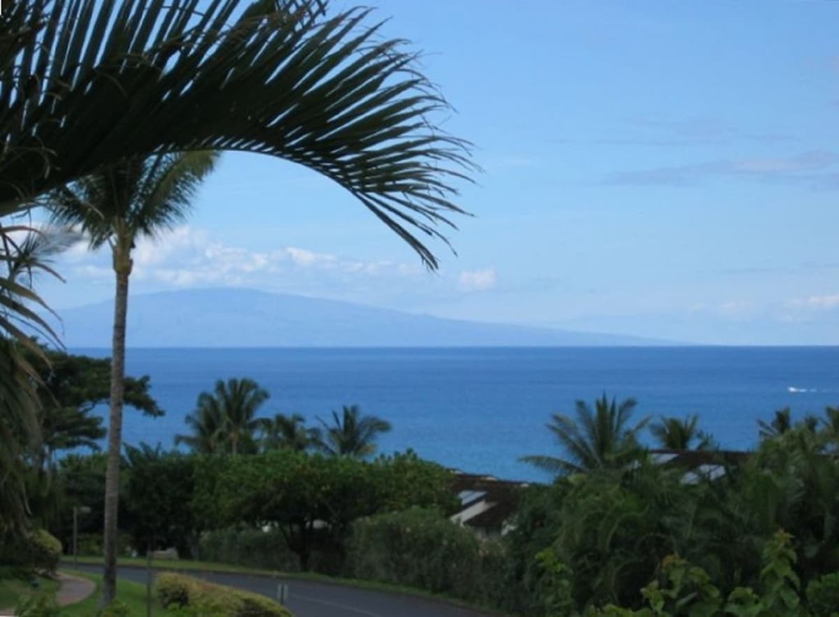 Condo in Kihei · ★4.94 · 1 bedroom · 2 beds · 2 private baths - Photo 3