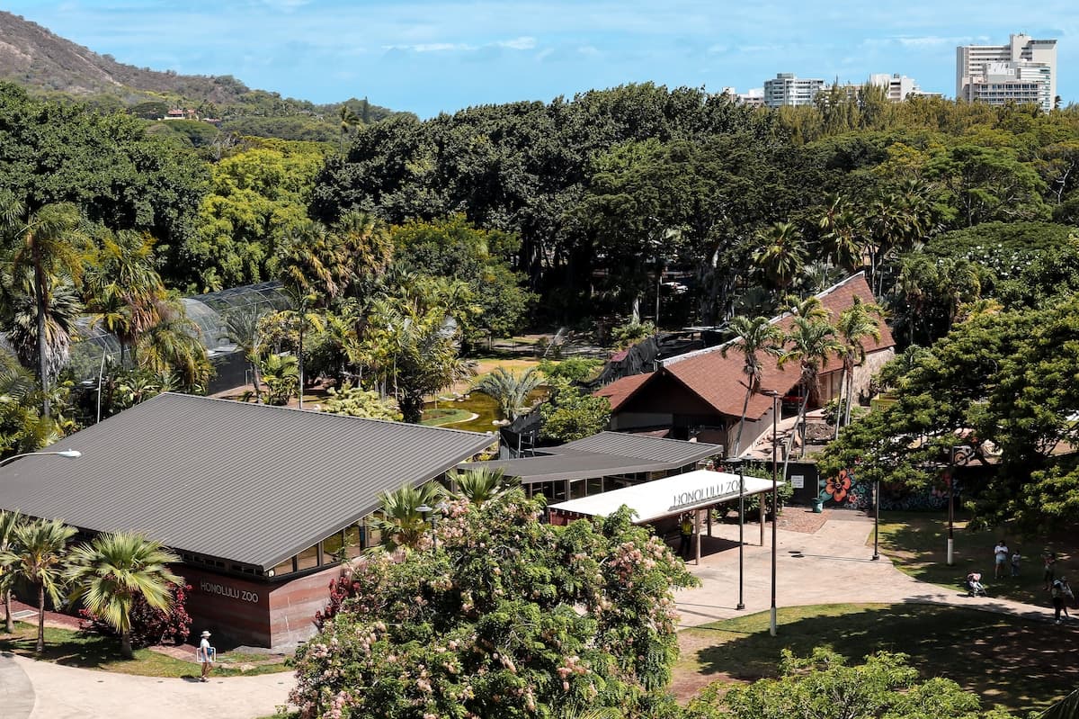 Condo in Honolulu · ★4.87 · 1 bedroom · 1 bed · 1 private bath - Photo 5