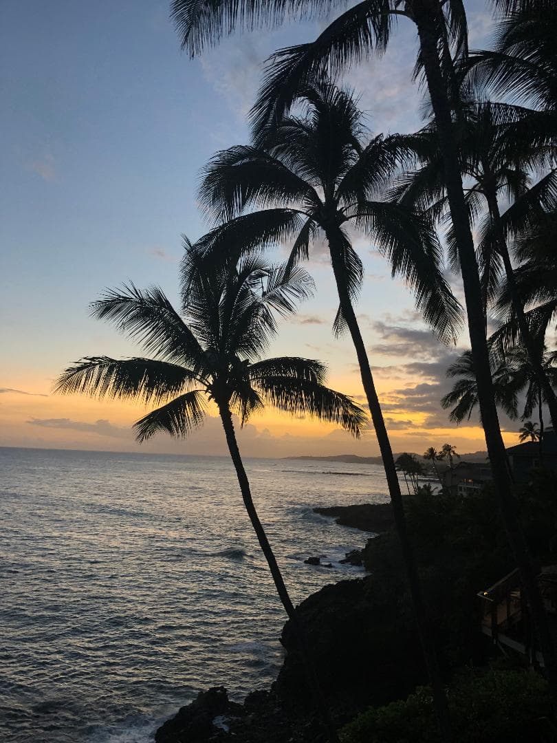 Condo in Koloa · ★5.0 · 3 bedrooms · 4 beds · 3 baths - Photo 2