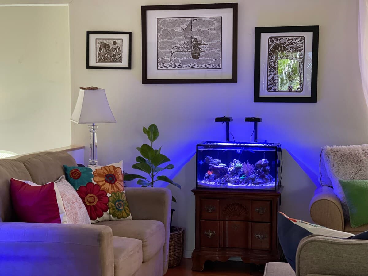 Home in Kihei · ★4.78 · 1 bedroom · 2 beds · 1 shared bath - Photo 4