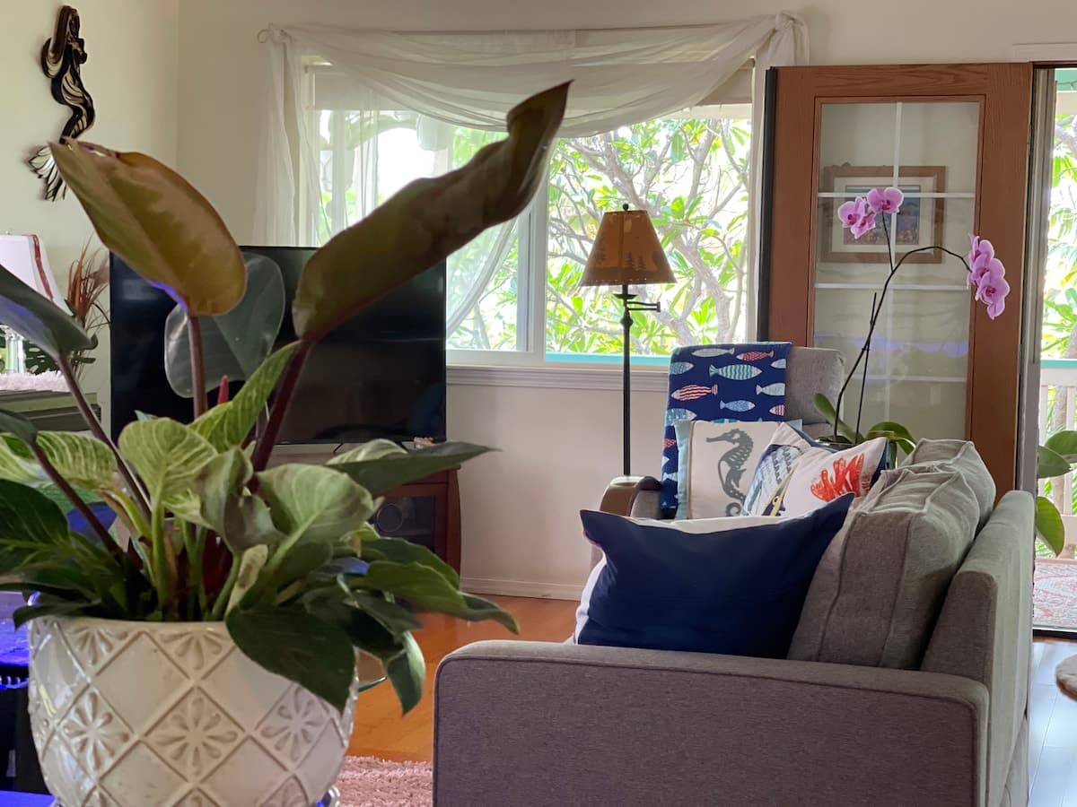 Home in Kihei · ★4.78 · 1 bedroom · 2 beds · 1 shared bath - Photo 2
