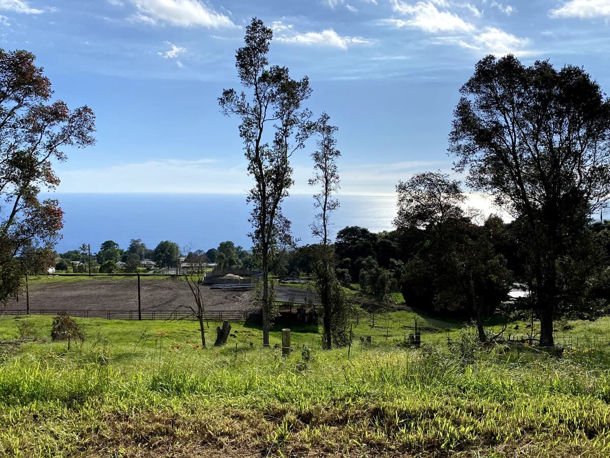 Guesthouse in Holualoa · ★4.86 · Studio · 1 bed · 1 private bath - Photo 3