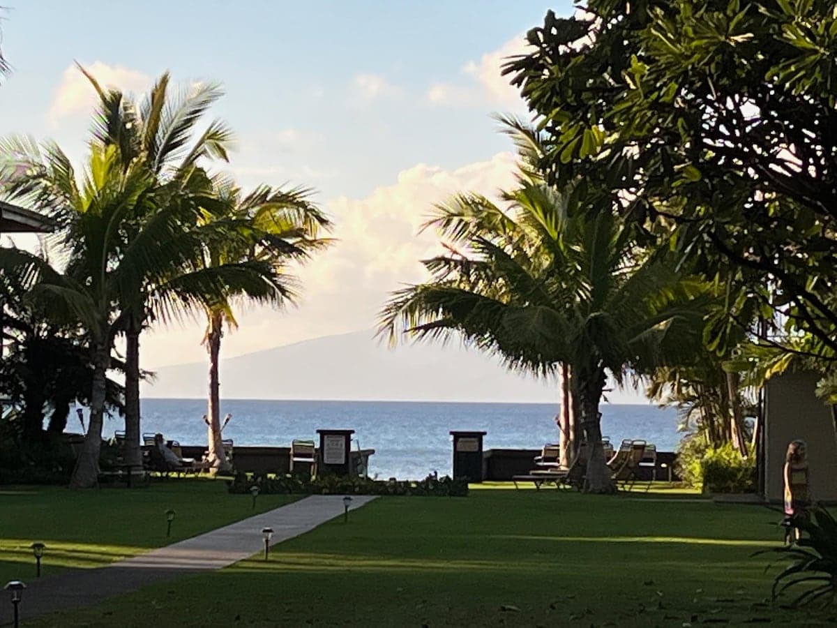 Condo in Lahaina · ★5.0 · 2 bedrooms · 4 beds · 2 baths - Photo 3