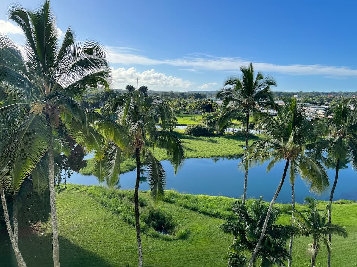 Condo in Hilo · ★4.91 · 2 bedrooms · 2 beds · 2 private baths - Photo 1