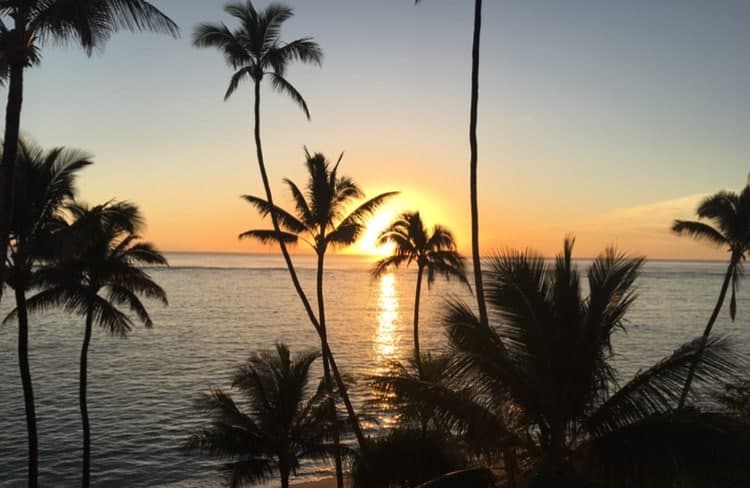 Condo in Hauula · ★4.75 · 1 bedroom · 1 bed · 1 private bath - Photo 5