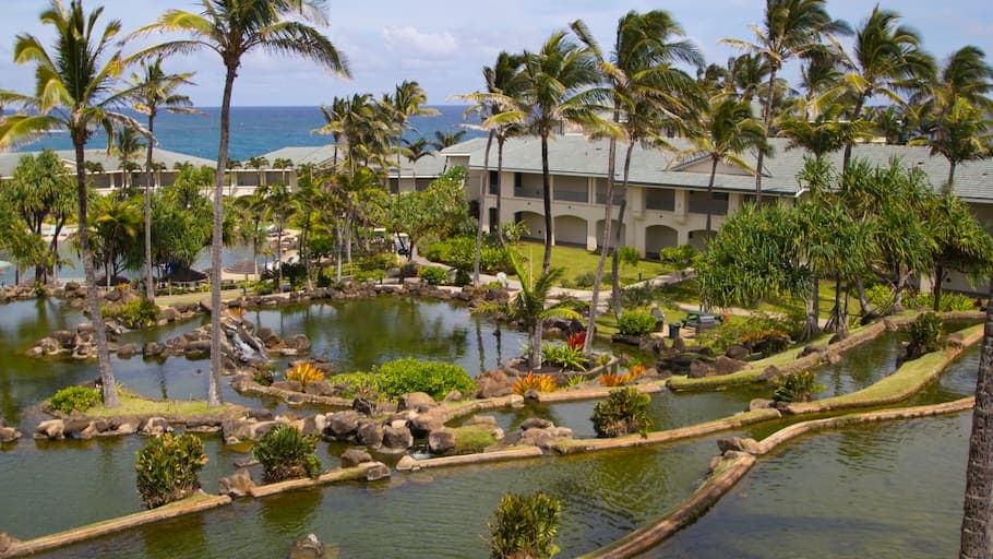 Condo in Koloa · ★4.81 · 2 bedrooms · 3 beds · 2 private baths - Photo 4