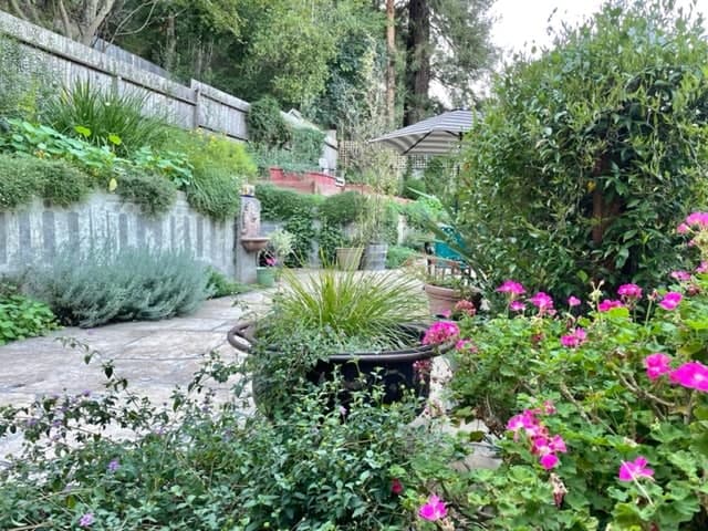 Adorable Garden Guesthouse - walk to downtown - Photo 1