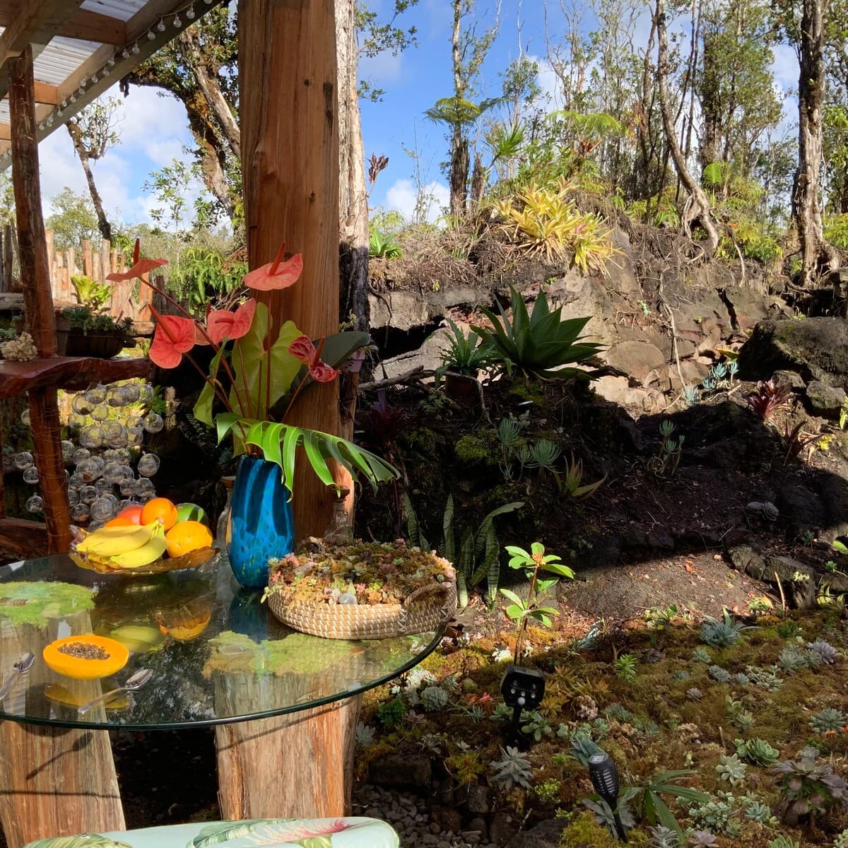 Place to stay in Mountain View · ★4.83 · 1 bedroom · 1 bed · 1 private bath - Photo 3
