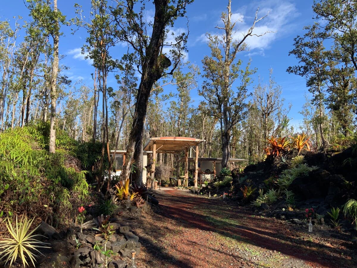 Place to stay in Mountain View · ★4.83 · 1 bedroom · 1 bed · 1 private bath - Photo 5