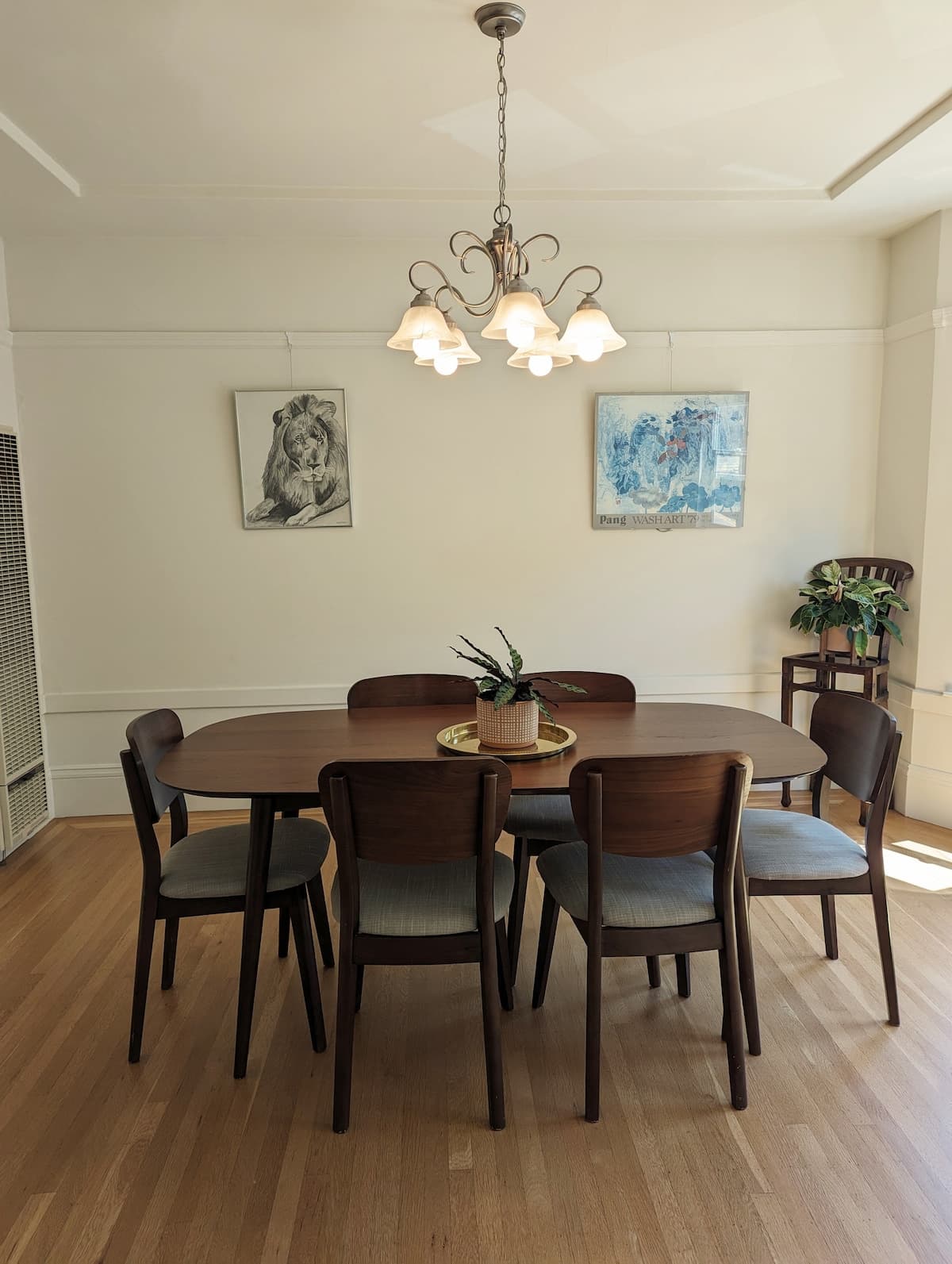Sunny Noe Valley Flat with Rose Garden Views - Photo 4