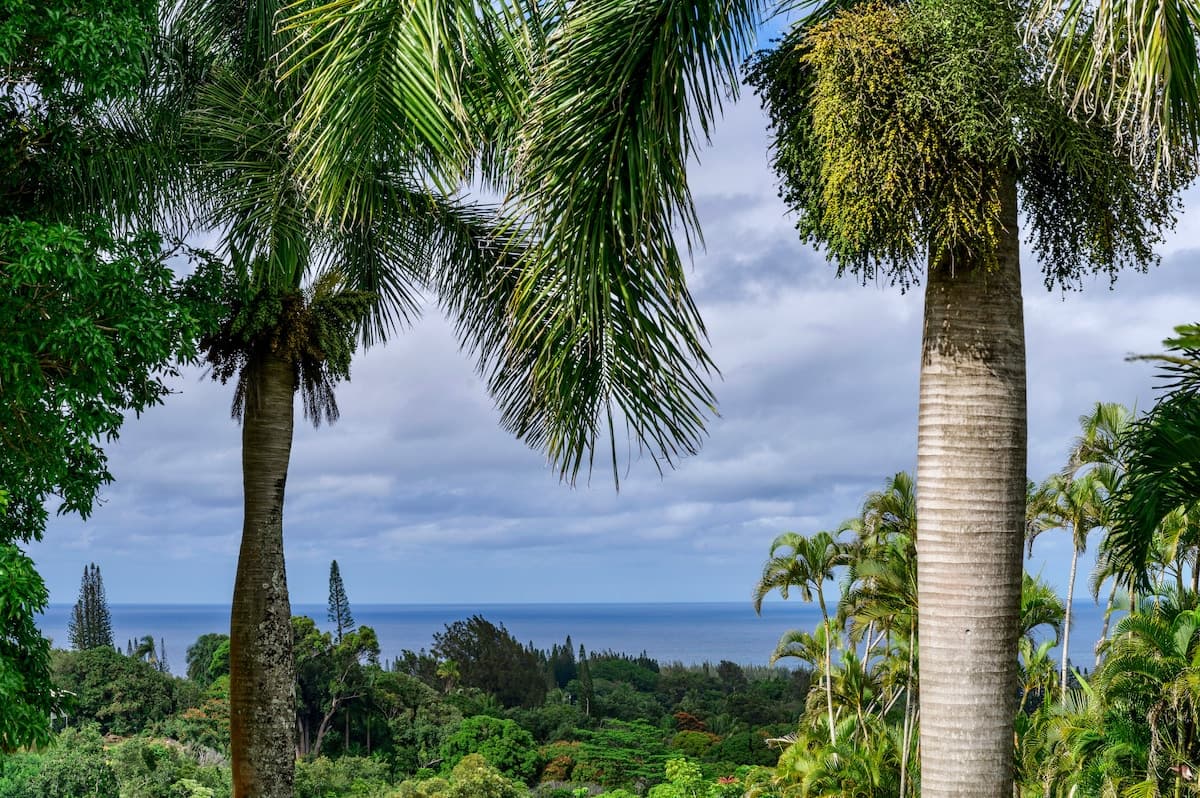 Home in Haiku-Pauwela · ★4.97 · 2 bedrooms · 2 beds · 1 bath - Photo 2