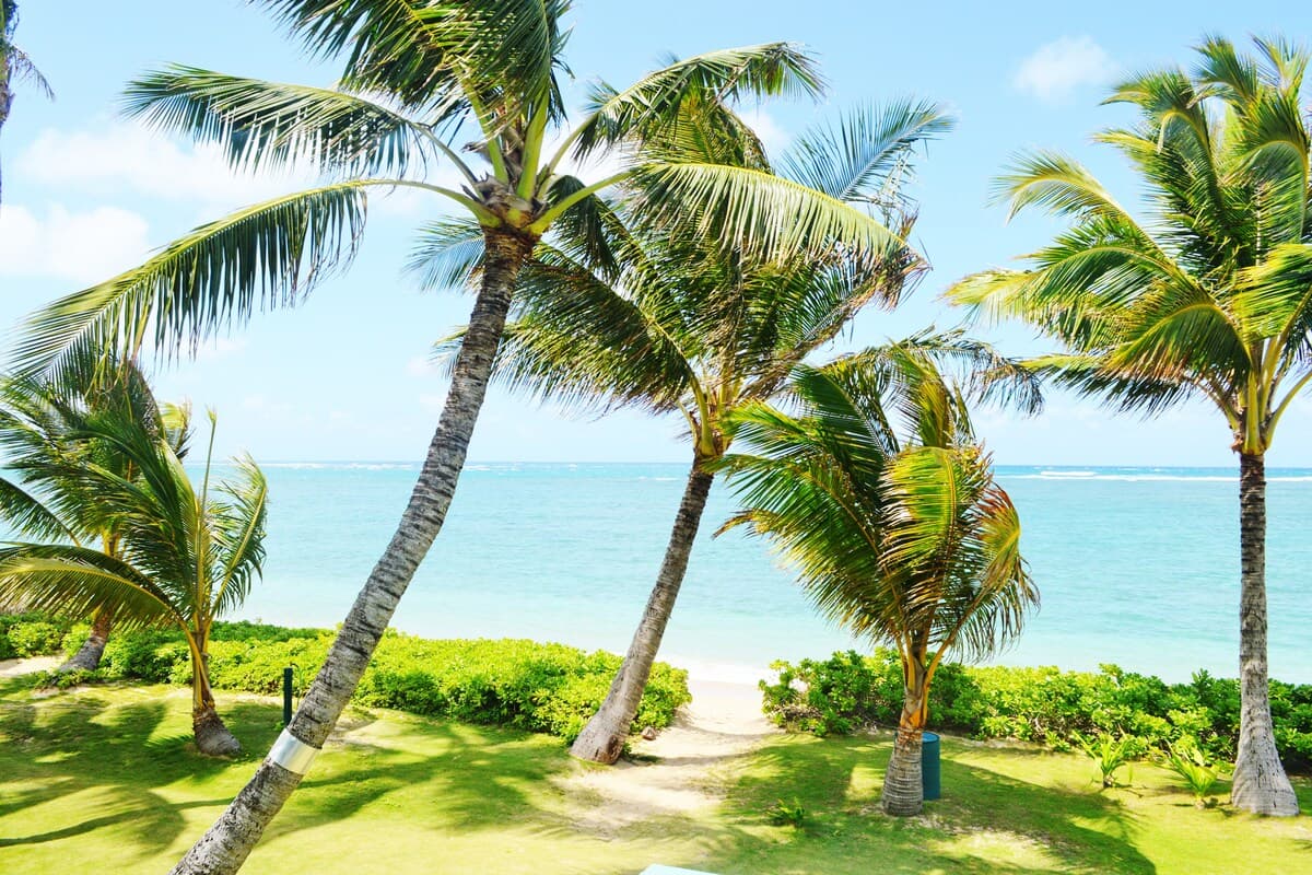 Blue Hawaii Sandy Beachfront Cottage - Photo 4
