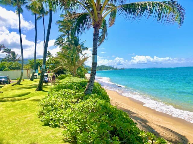 Blue Hawaii Sandy Beachfront Cottage - Photo 5