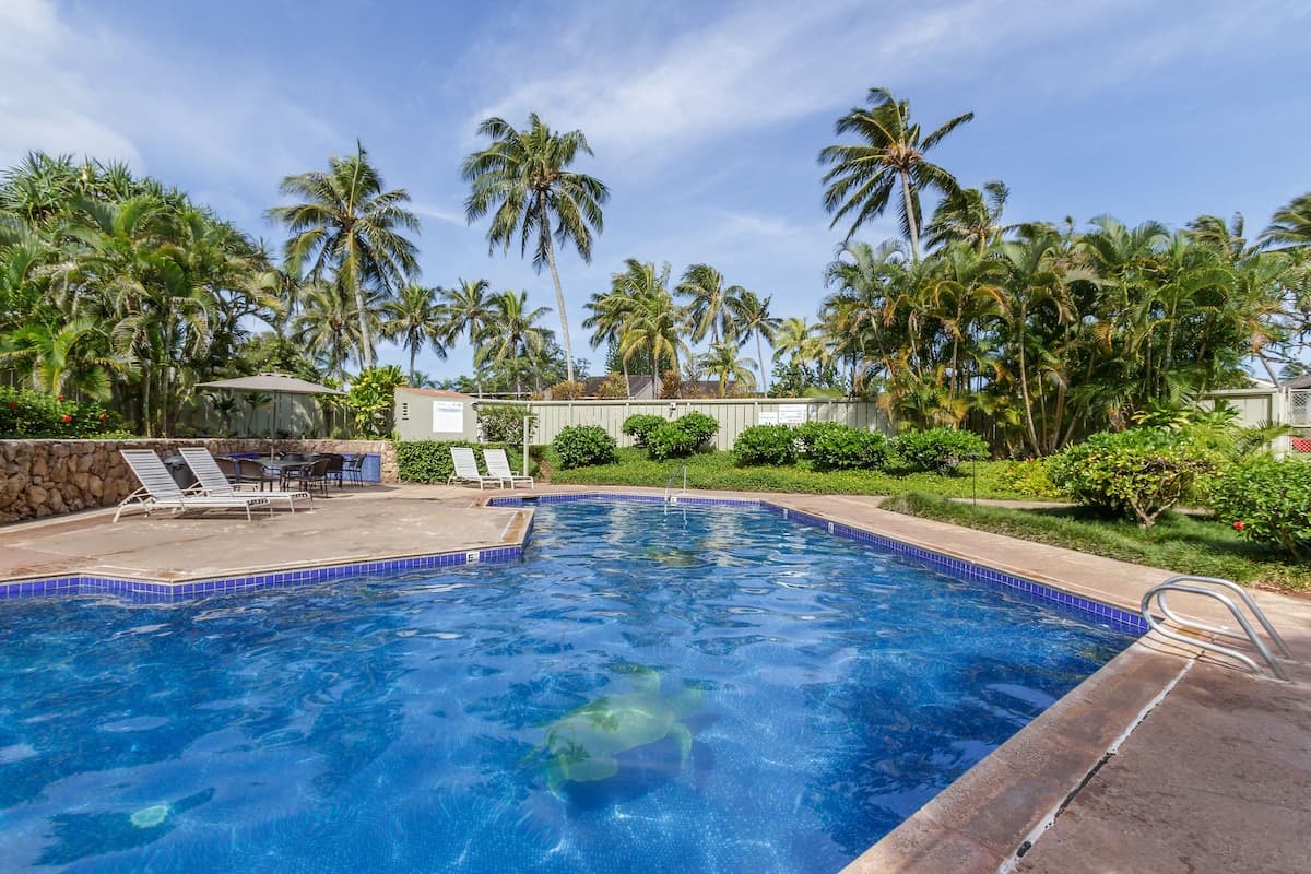 Condo in Kahuku · ★4.93 · 1 bedroom · 1 bed · 1 shared bath - Photo 1