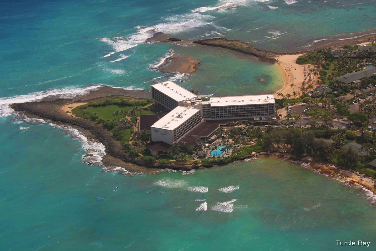 Condo in Kahuku · ★4.93 · 1 bedroom · 1 bed · 1 shared bath - Photo 4