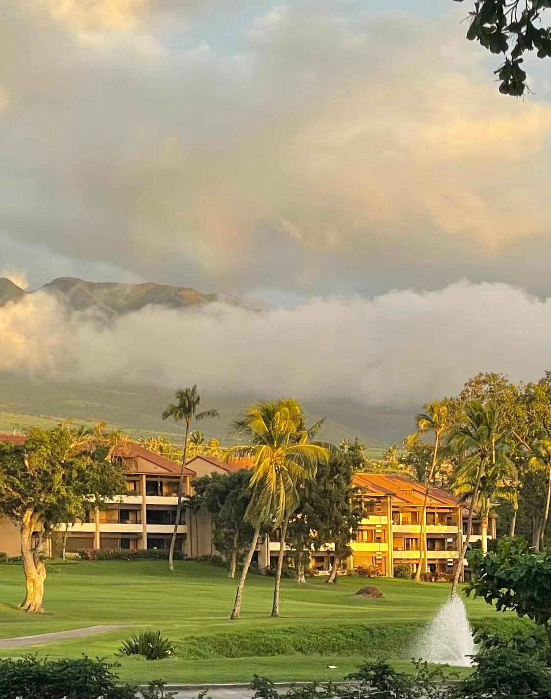 Condo in Lahaina · ★5.0 · 2 bedrooms · 2 beds · 2 baths - Photo 1