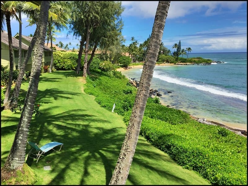 Condo in Kapaa · ★4.9 · 2 bedrooms · 4 beds · 1.5 private baths - Photo 1