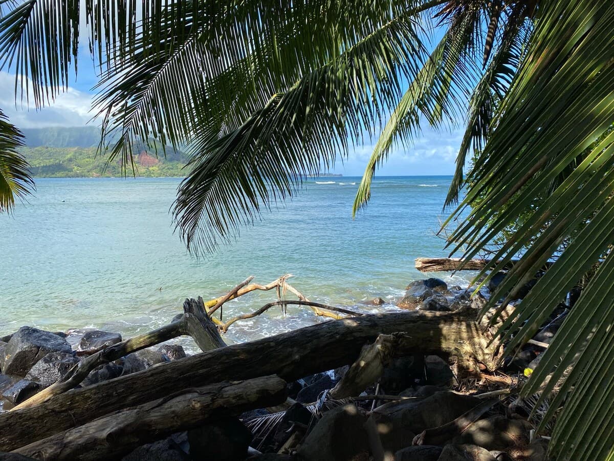 Beautiful Plantation at Princeville - Photo 1