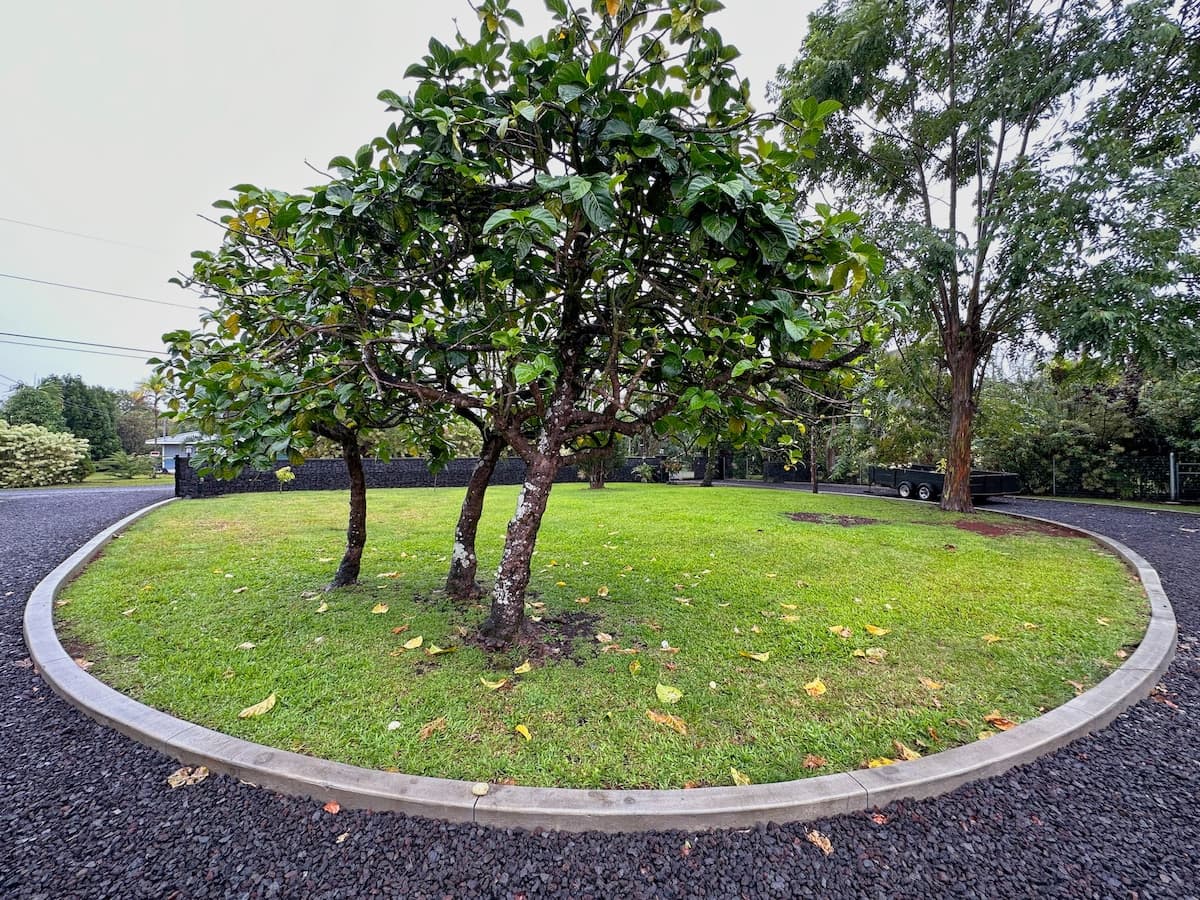 Home in Keaau · ★4.94 · 3 bedrooms · 5 beds · 2 private baths - Photo 4