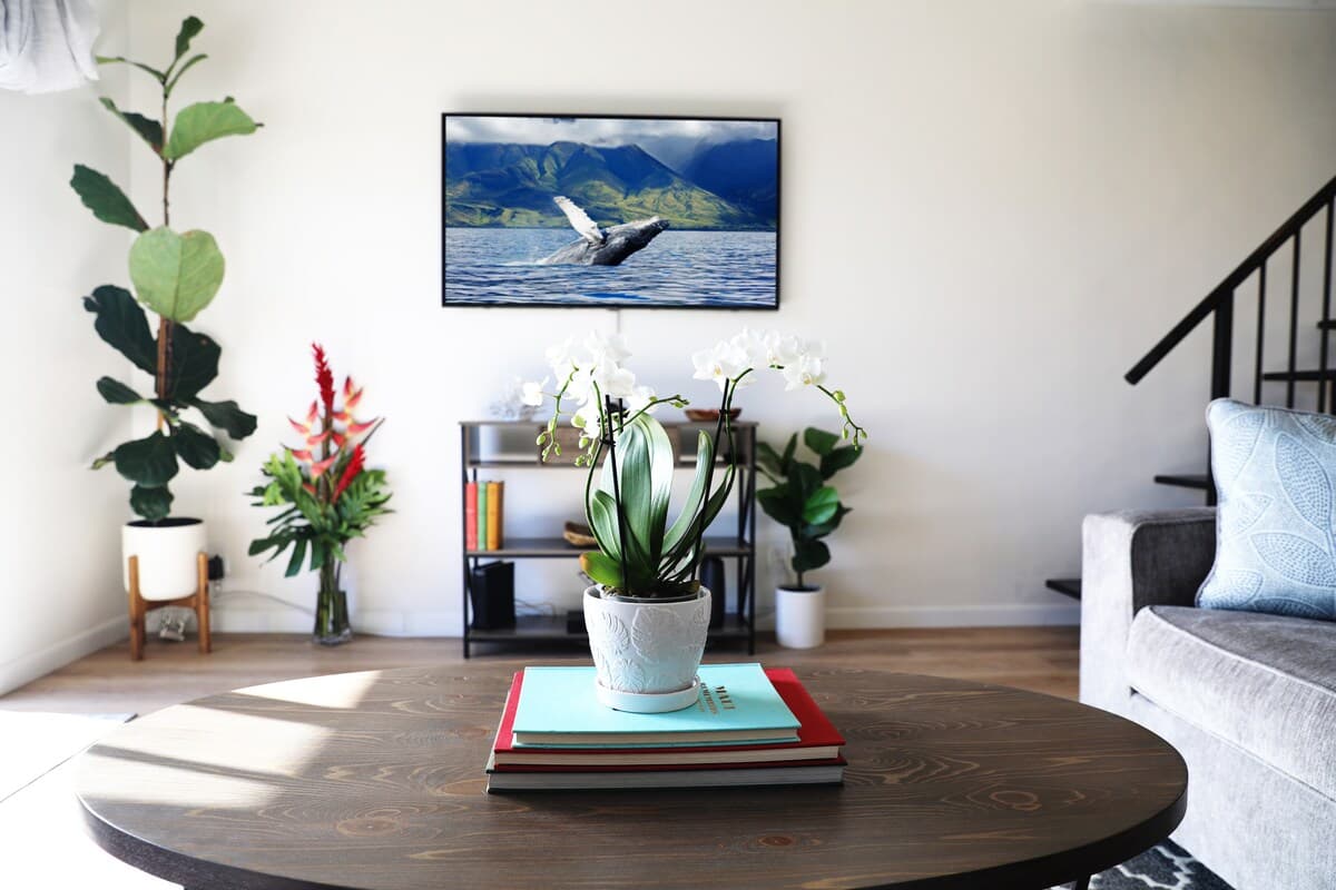 Condo in Kihei · ★4.92 · 1 bedroom · 2 beds · 1 private bath - Photo 3