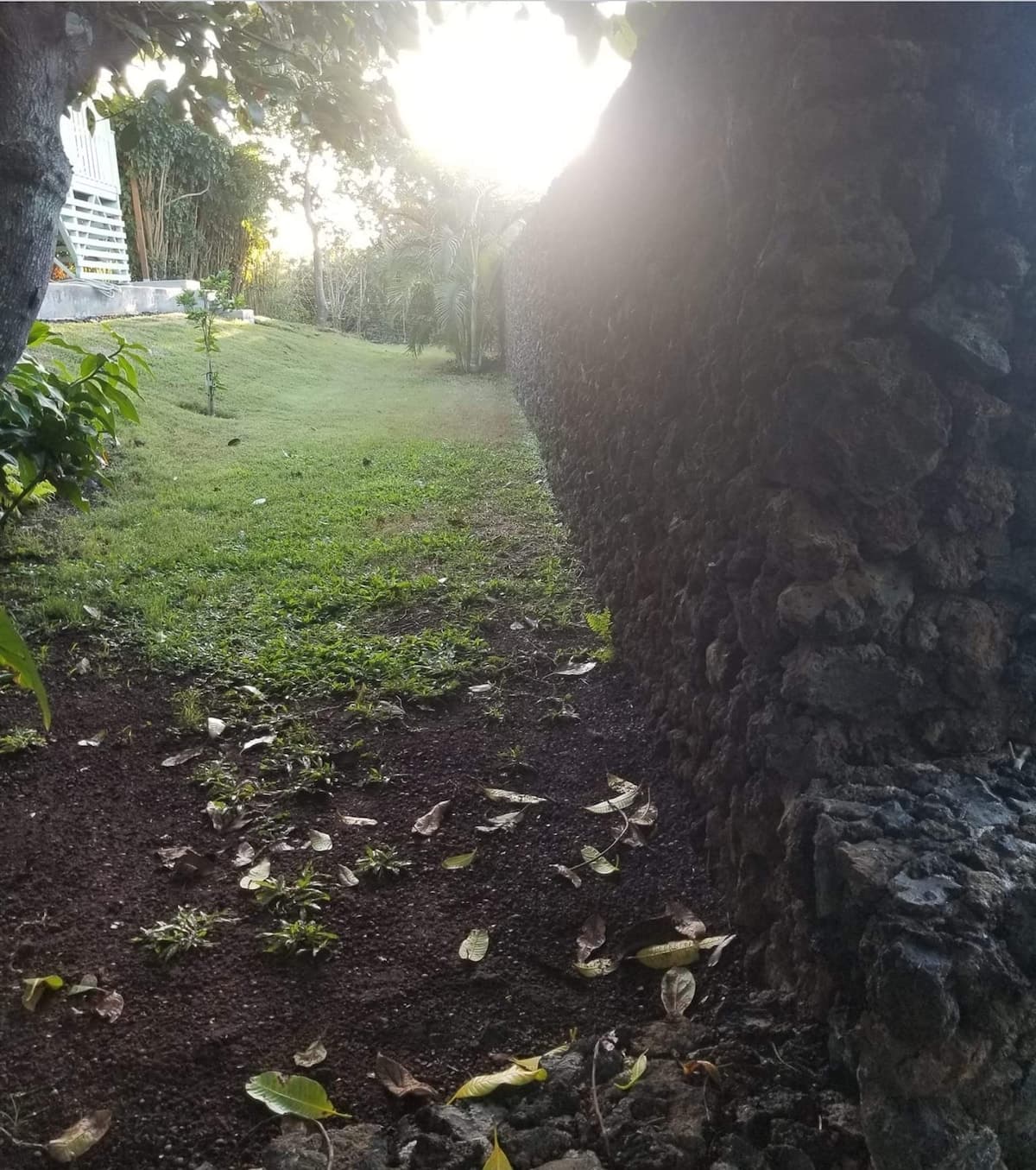 Home in Naalehu · ★4.97 · 1 bedroom · 3 beds · 1 bath - Photo 4