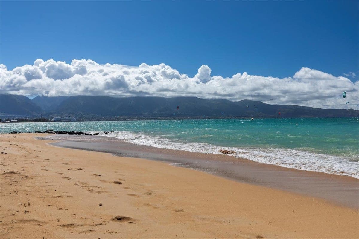 Waena Inn 9– Newly Renovated Maui Private Suite - Image 7