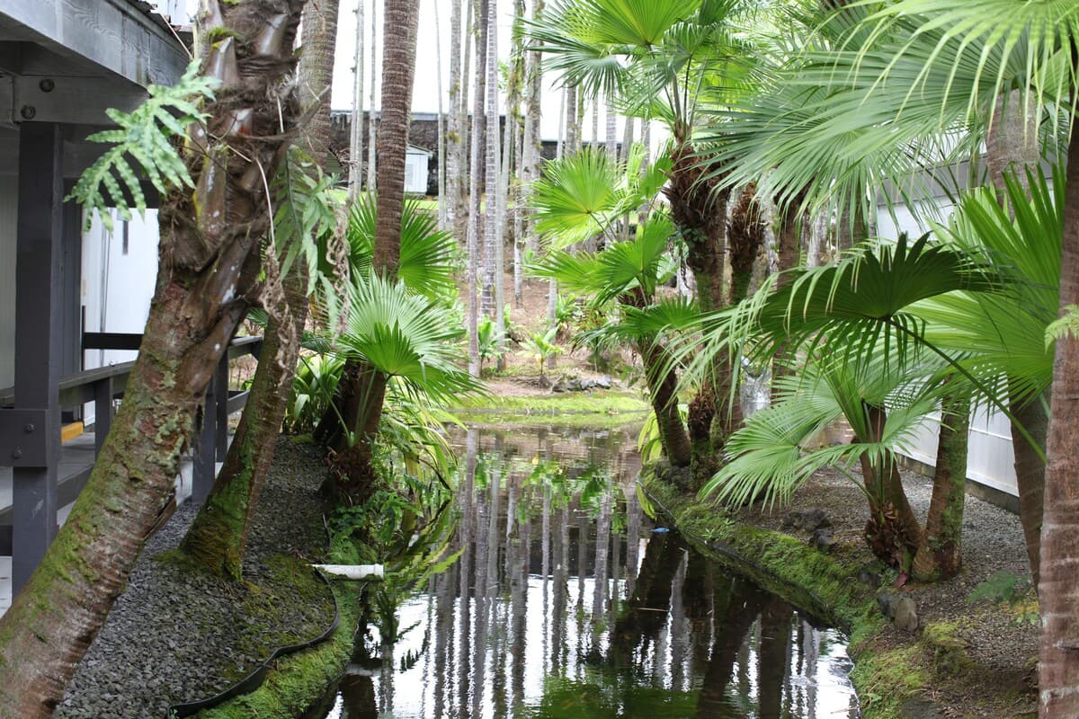 Tropical Garden Condo with Pool Kitchen, and AC - Photo 1