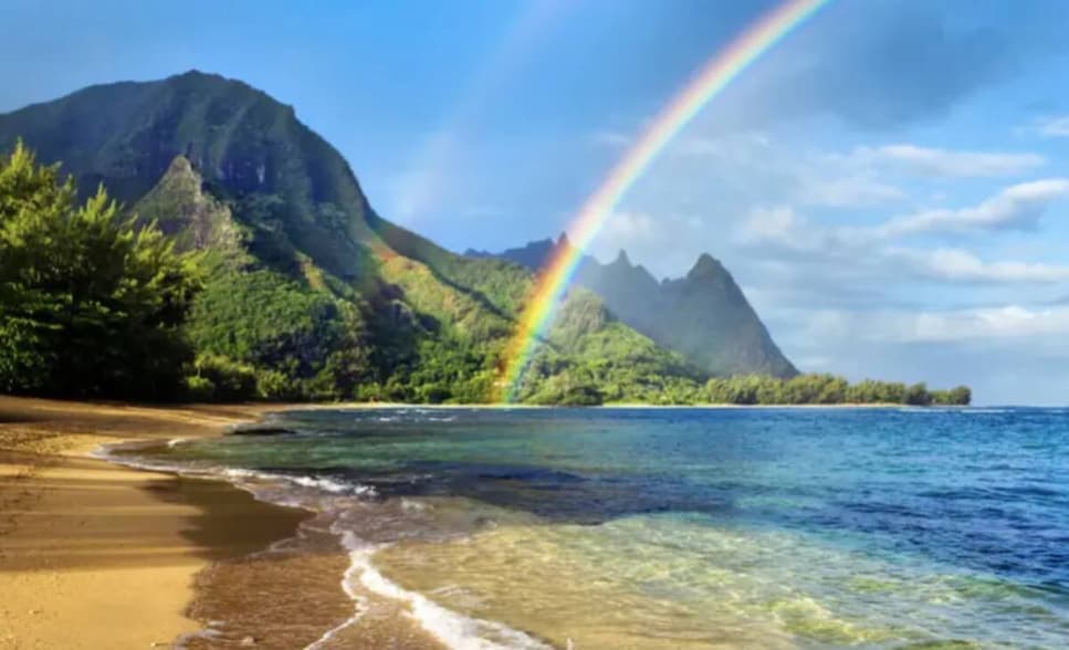Condo in Princeville · ★5.0 · 1 bedroom · 2 beds · 1 bath - Photo 3