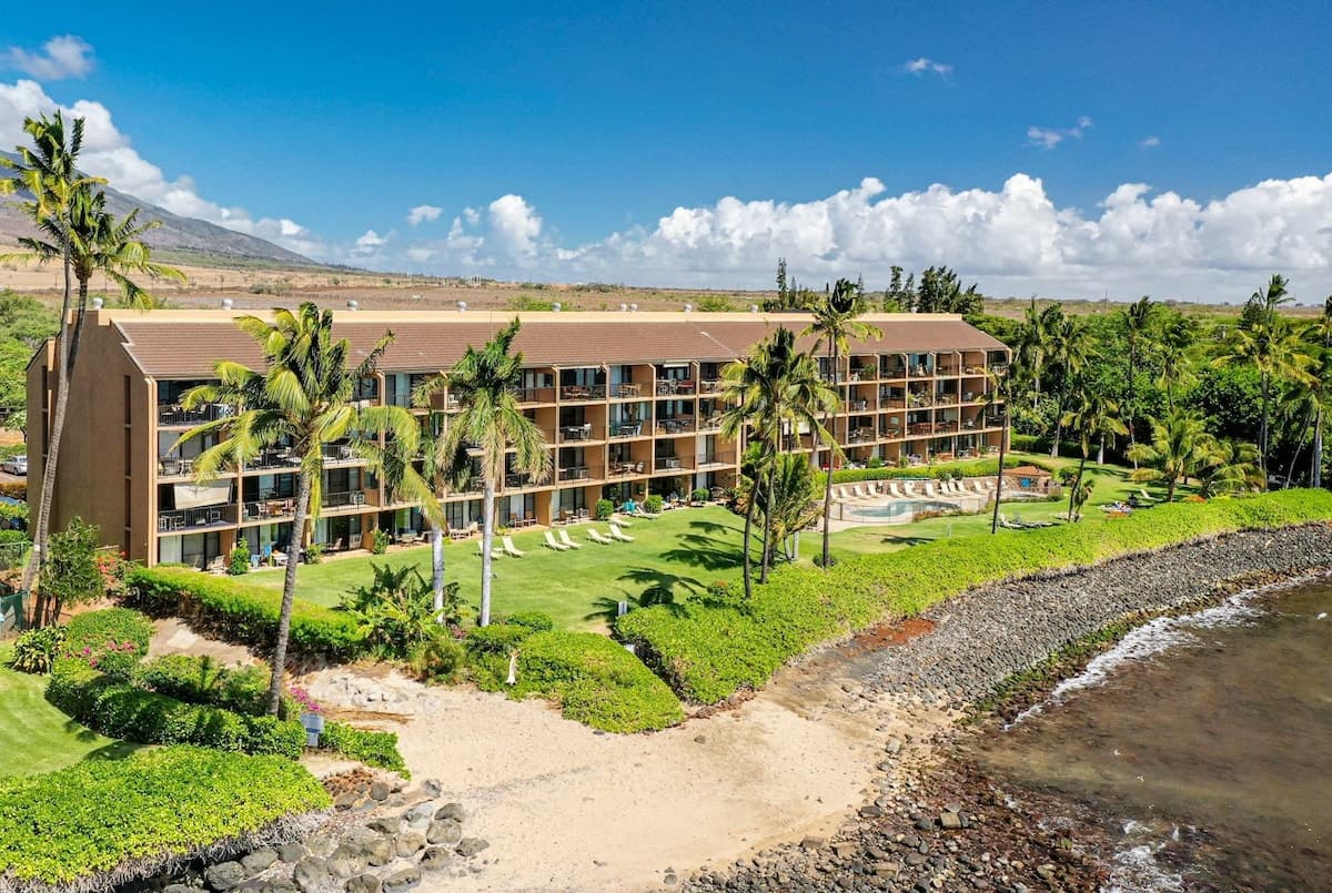 Condo in Wailuku · ★4.9 · 1 bedroom · 1 bed · 1 bath - Photo 5