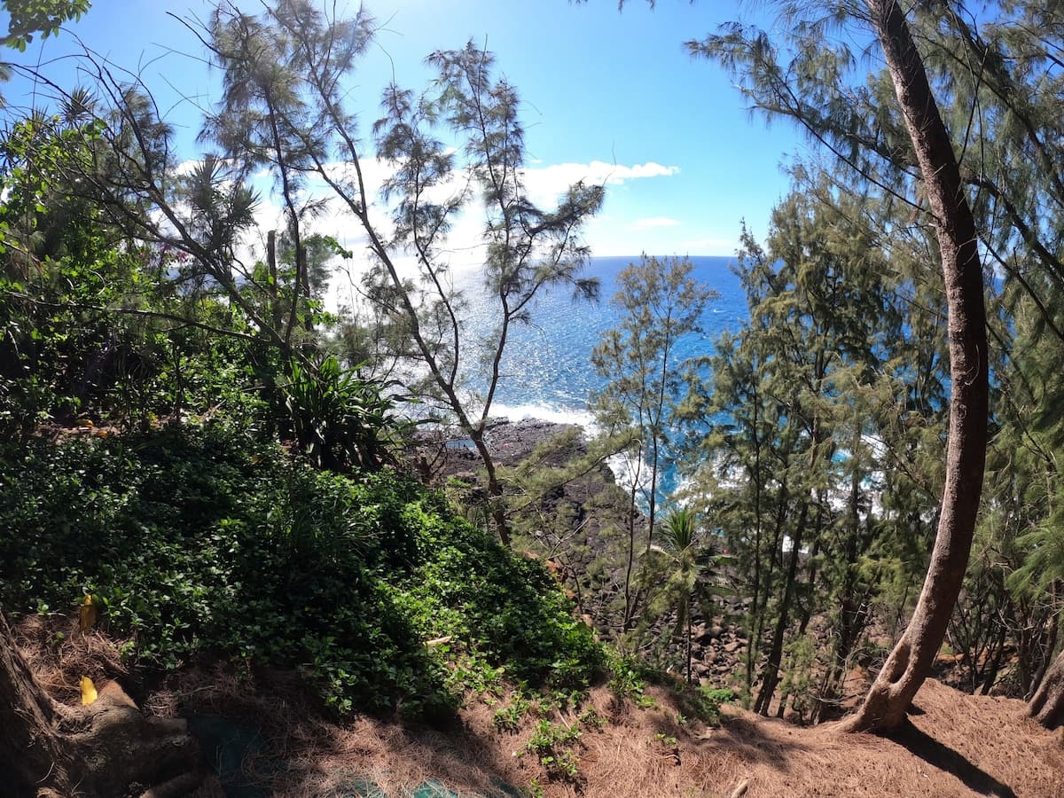 Comfortable Hale on the north shore - Photo 4