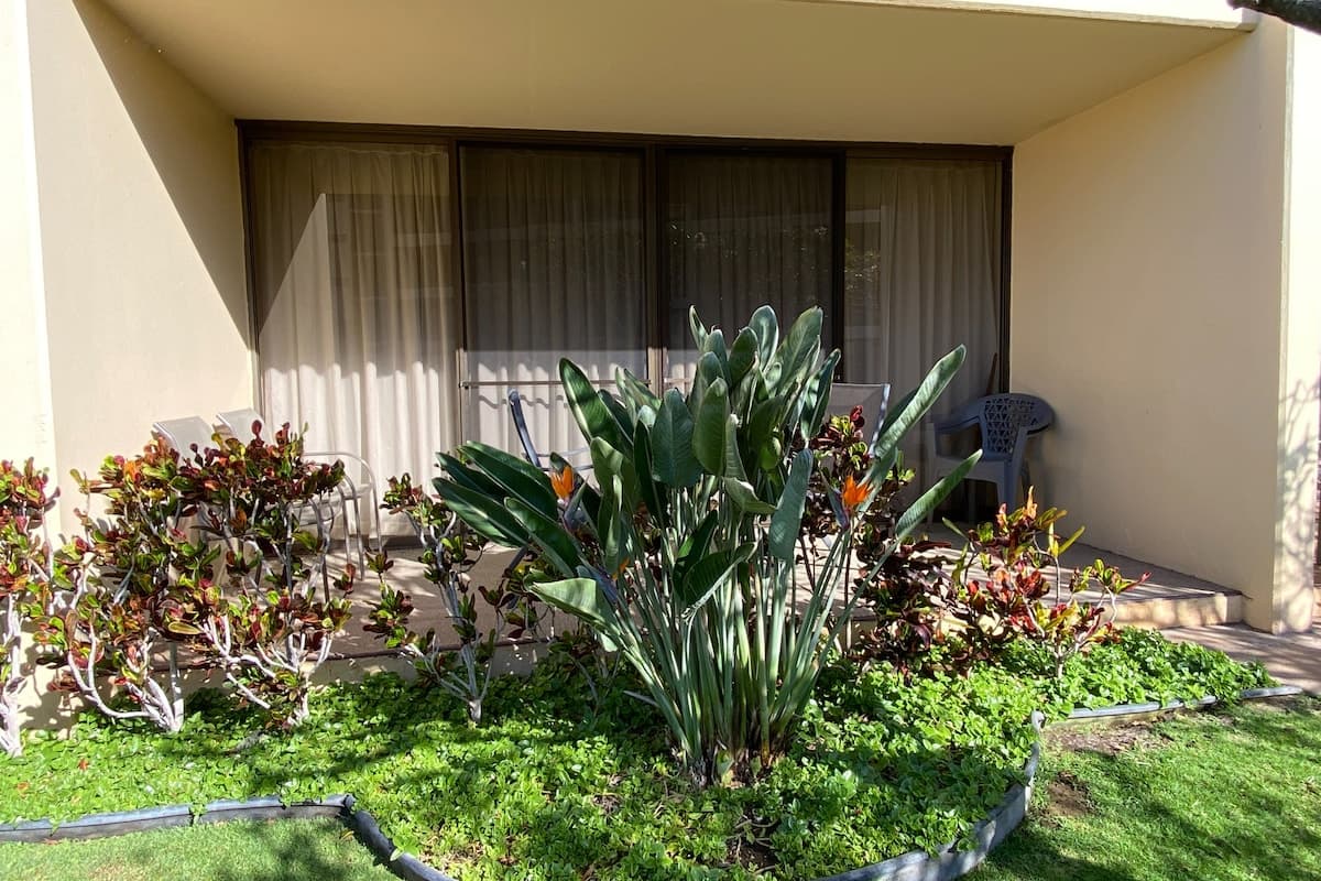 Condo in Kihei · ★4.81 · 1 bedroom · 1 bed · 1 bath - Photo 2