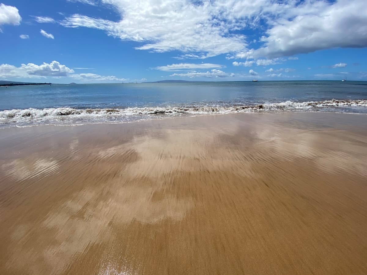 Condo in Kihei · ★4.81 · 1 bedroom · 1 bed · 1 bath - Photo 1