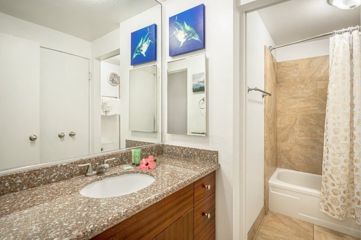 1 BR Condo Oceanfront Resort Kapaa Shore - Photo 4