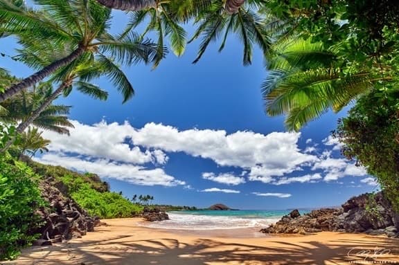 50% OFF Ka'anapali Beach Oceanview Whale Season - Photo 1