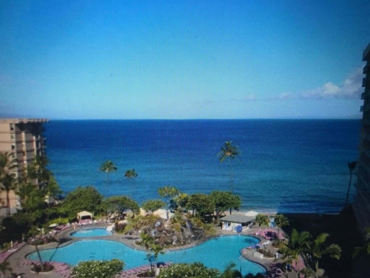 50% OFF Ka'anapali Beach Oceanview Whale Season - Photo 5