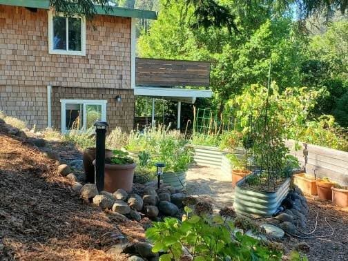 Mt. Tam View Garden Retreat in Mill Valley - Photo 1