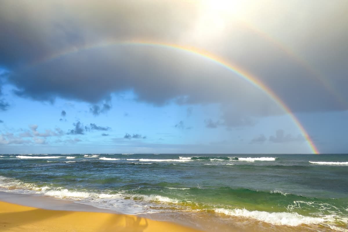 Condo in Kapaa · ★4.89 · 1 bedroom · 2 beds · 2 baths - Photo 4