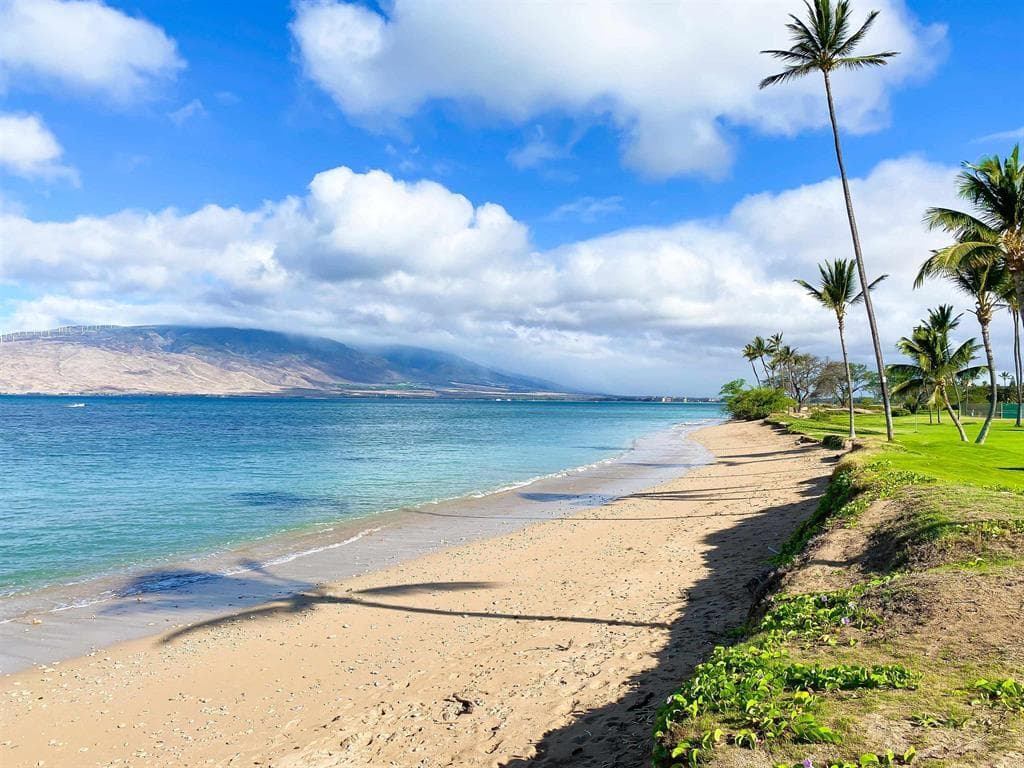 Condo in Kihei · ★5.0 · 1 bedroom · 2 beds · 2 shared baths - Photo 4
