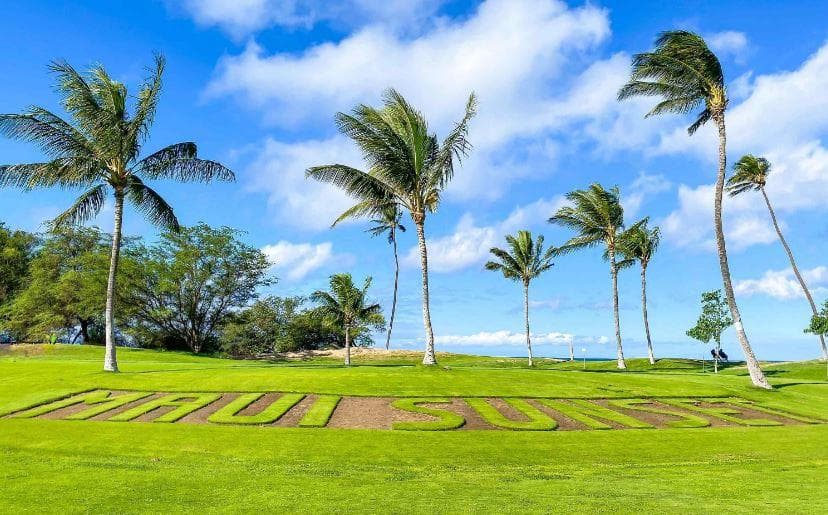 Condo in Kihei · ★5.0 · 1 bedroom · 2 beds · 2 shared baths - Photo 1