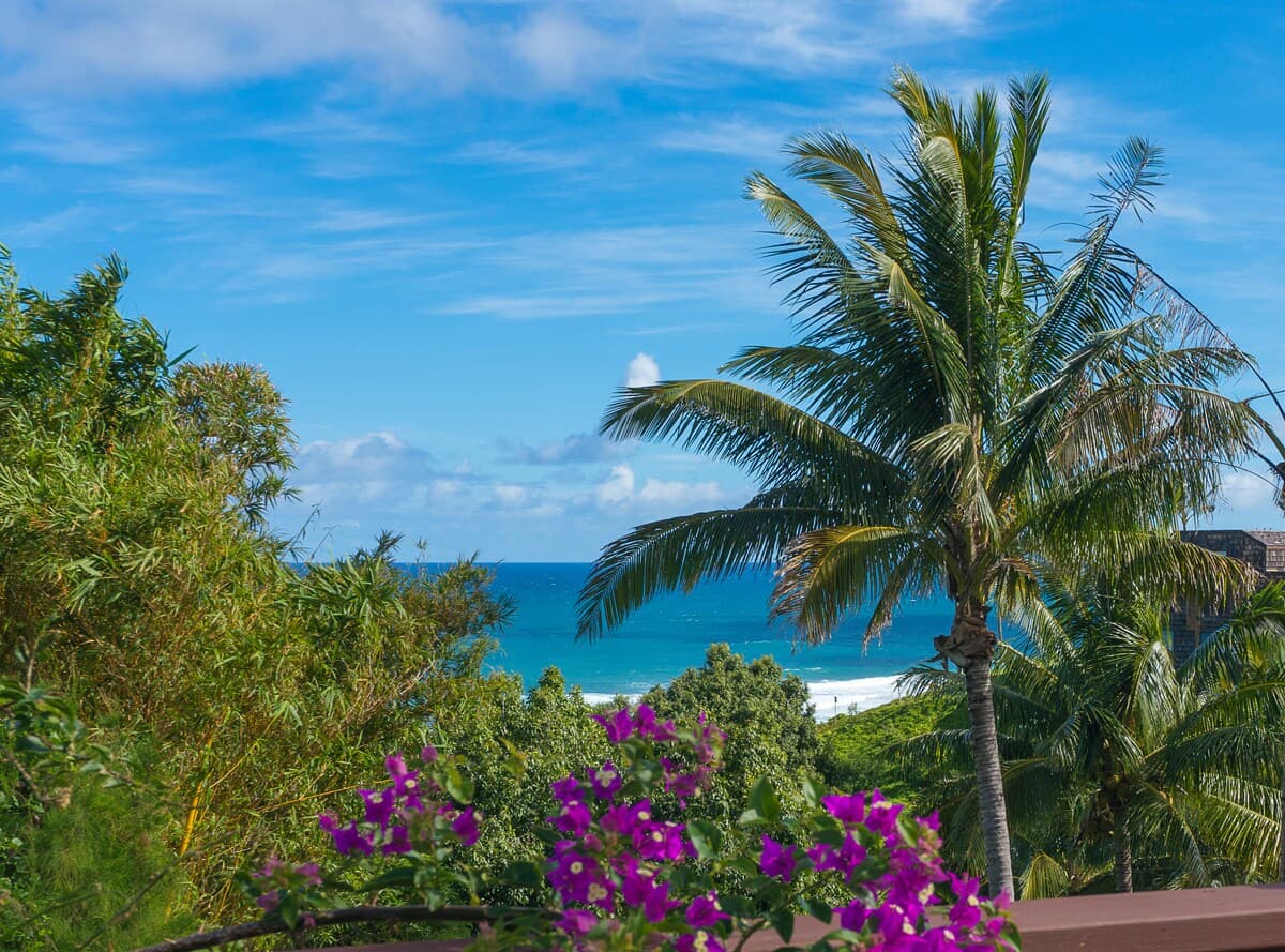 Home in Princeville · ★4.88 · 3 bedrooms · 4 beds · 2 baths - Photo 2