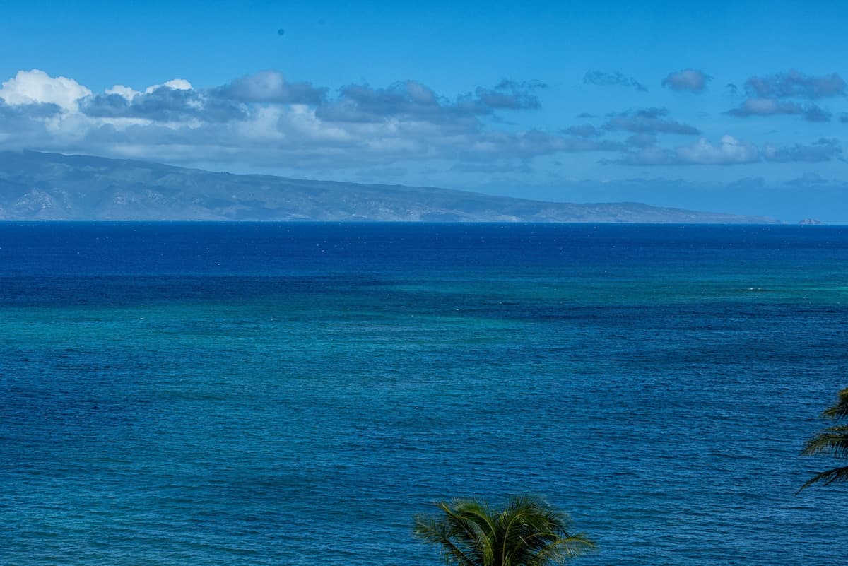 Condo in Lahaina · ★4.6 · 1 bedroom · 1 bed · 1 shared bath - Photo 3