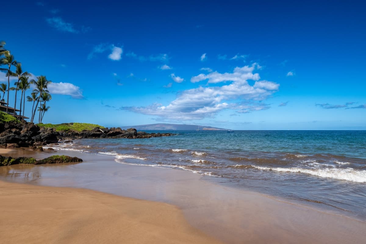 Condo in Kihei · ★4.9 · 2 bedrooms · 3 beds · 2 baths - Photo 5