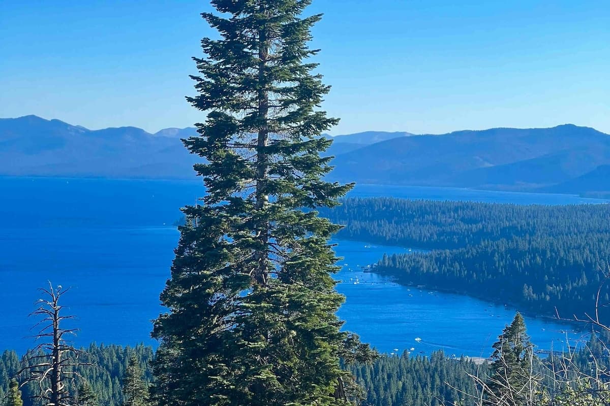 Peaceful Mountain Getaway Near Lake Tahoe - Photo 2