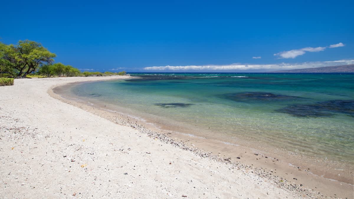 Condo in Waimea · ★5.0 · 3 bedrooms · 4 beds · 2 baths - Photo 5