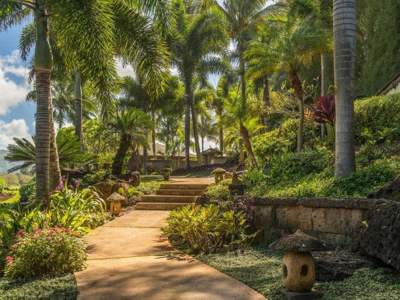 Home in Kilauea · ★4.36 · 3 bedrooms · 4 beds · 3.5 baths - Photo 3