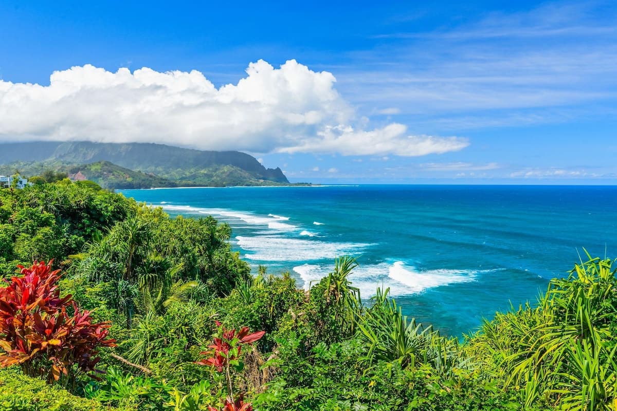 Condo in Princeville · ★4.84 · 2 bedrooms · 2 beds · 2 baths - Photo 1