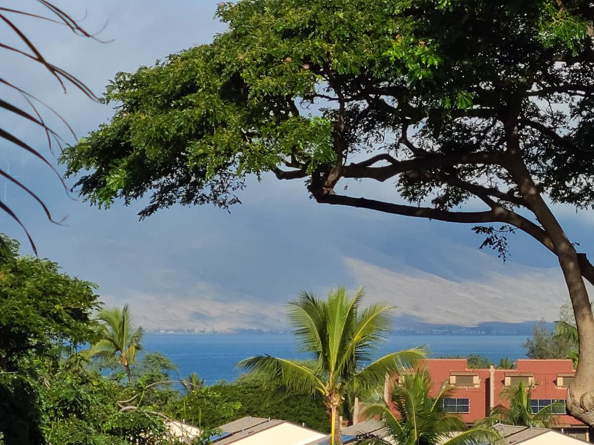 Condo in Kihei · ★5.0 · 1 bedroom · 2 beds · 2 private baths - Photo 1